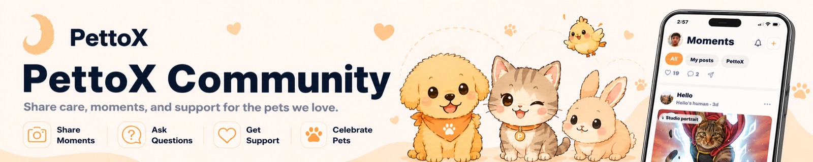 PettoX Community — share care, moments, and support for the pets we love